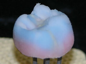 LUSTER-LTO-LAYERED-OVER-ENTIRE-BUILD-UP-Build-up-5